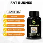 Fij Ayurveda Fat Burner Capsule 