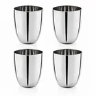 TerraHome Steel Apple Glass 300ml Combo Set of 4