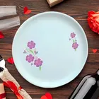 Fair Food Dinner Plate For Regular Use- 1 Pcs