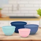 ALL TIME 4 Pcs Bowl with Lid 