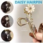 Metal Hair Clutcher for Women 