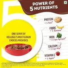 केलॉग्स चोकोज़ सीरियल 