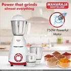 Maharaja Whiteline 750 W Mixer Grinder with Jars 