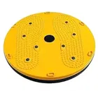 Abdominal Toner Workout Acupressure Twister 