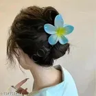 Hair Clips for Women 