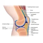 Silicone Gel Heel Pad 
