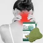 Pain Relief 10 Pcs Heating Patch 