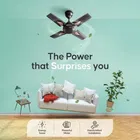 Longway Creta P1 600 mm 4 Blade Ceiling Fan  