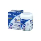 Deemark Ayurvedic Pain Relief Ortho Balm 