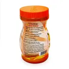 Patanjali Special Chyawanprash 500 g