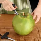 Stainless Steel Coconut Opener 