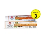Ayouthveda Total Care 360 Toothpaste 3X100 g 