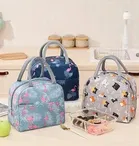 Polyester Lunch Bag for Office & School 
