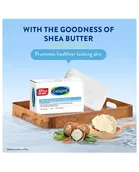 Cetaphil Cleansing Moisturizing Syndet Bar for Face & Body 100 g