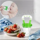 BPA-Free Plastic Fruit Nibble for Baby, Multicolor, Pack of 1