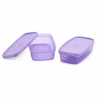 Tweeny Container Set of 2 Assorted