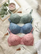Padded Full Coverage Bra for Women, Pack of 3 