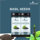 Herbs Library Fresh and Natural Basil Seeds for Weight Loss 