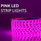 LED Rope Light 