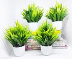 Artificial Plants with Pot 