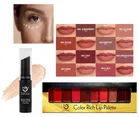 Combo of 10 Shades Lip Color Palette with Stick Concealer 