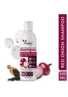 Oneway Happiness Onion Hair Oil and Shampoo Combo 