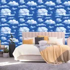 PVC Self Adhesive Wall Stickers 