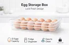 Fridge Egg Container Box
