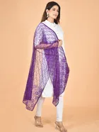 Net Self-Design Dupatta for Women 