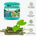 Srishma Giloy/Guduchi/Gulvel Stem Powder | Helps Boost Immunity (200 g)