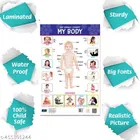 Bookford Publications My small chart Numbers, My Body & Good Manners 