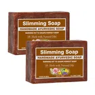 Pure Natural Ayurvedic Body Slimming Bathing Soap (100 g, Pack of 2)