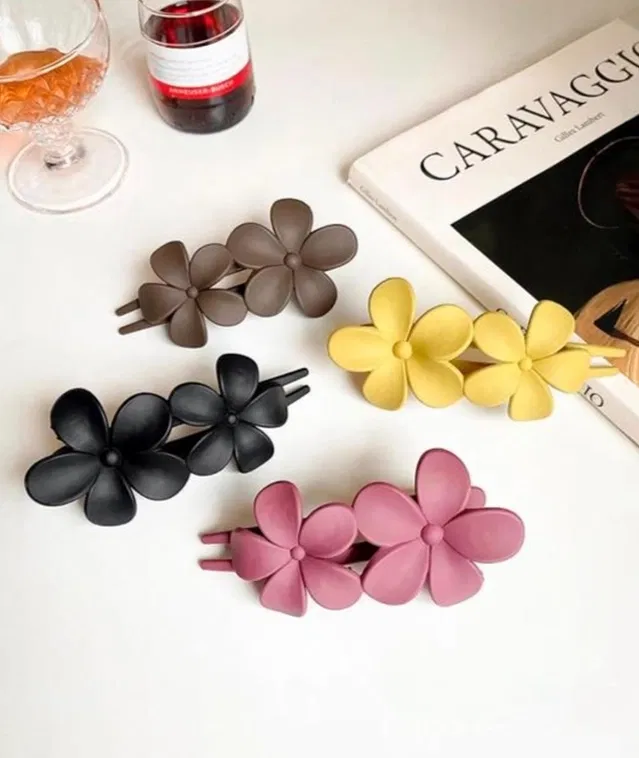 Plastic Hair Clips for Women & Girls (Multicolor, Pack of 4)