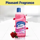 लिज़ोल डिसइन्फेक्टेंट सर्फ़ेस और फ्लोर क्लीनर लिक्विड, फ्लोरल 625 ml