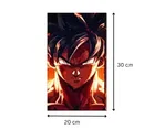 Akarts Anime posters pack of 10