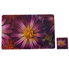 PVC Placemats for Dining Table 