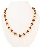 BHARDWAJ RETAILS Rudraksha, Pack of 1 (Assorted) (BR42)