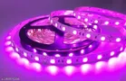 LED Strip Lights 