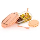 Saarthi Plastic Airtight Lunch Box 