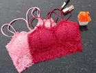 Super Net Solid Padded Bras for Women (Multicolor, 32) (Pack of 2)