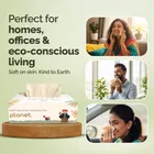 IMECO Soft Bamboo Facial Tissue Paper 100 Pulls| 2 Ply | Soft & Highly Absorbent