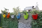 Plastic Hanging Planters 