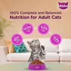 Whiskas Ocean Fish Kitten/Mother and Baby Cat Dry Food 