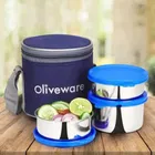 Lovely Stylo Lunch Box Stainless Steel Containers Idle For Office Use Insulated Fabric Bag 