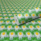 PVC Self Adhesive Wall Stickers 