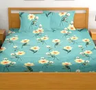 Glace Cotton Elastic Fitted Double Bedsheet with 2 Pillow Covers 