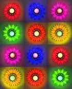 Plastic 3D Shadow Reflection Floating Diwali Diyas (Multicolor, Pack of 12)