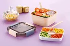 Brilliant 2 in1 Compartment Lunch Box 