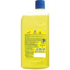 Lizol Disinfectant Surface Cleaner Citrus 1 L