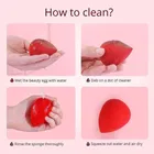 Professional Makeup 5 Piece Pink Brush With Beauty Blender 